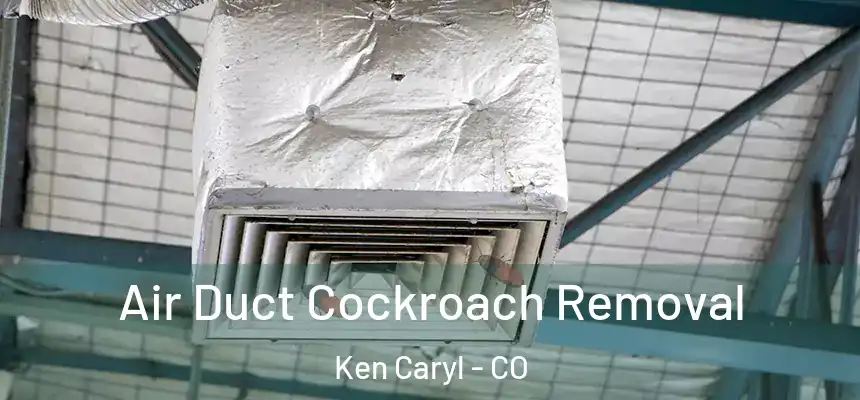  Air Duct Cockroach Removal Ken Caryl - CO