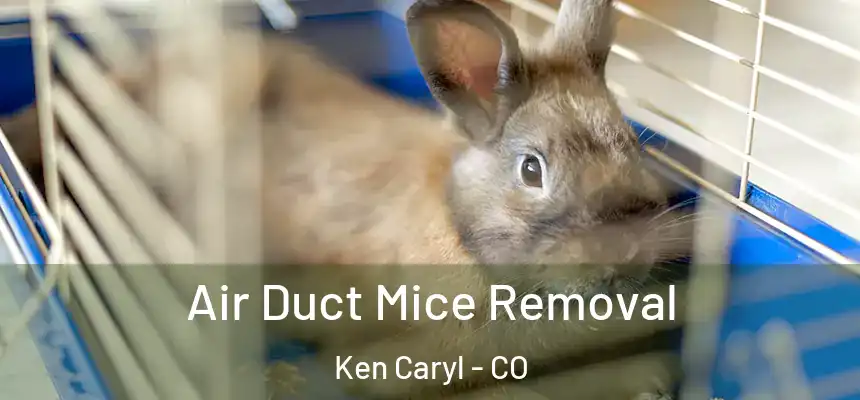  Air Duct Mice Removal Ken Caryl - CO