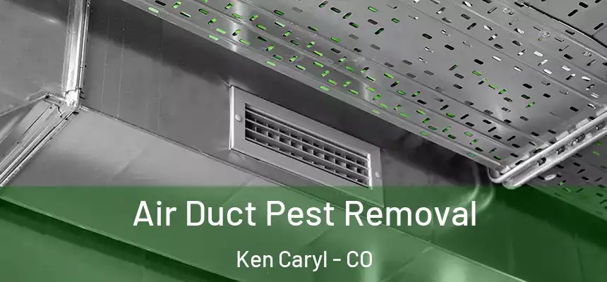  Air Duct Pest Removal Ken Caryl - CO