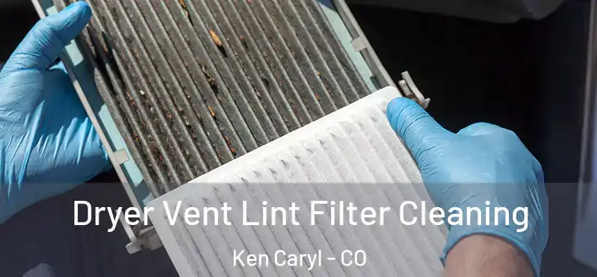 Dryer Vent Lint Filter Cleaning Ken Caryl - CO