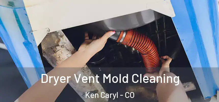  Dryer Vent Mold Cleaning Ken Caryl - CO