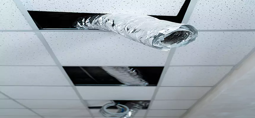 Our Air Duct Pet Hair Removal Services in Ken Caryl, CO