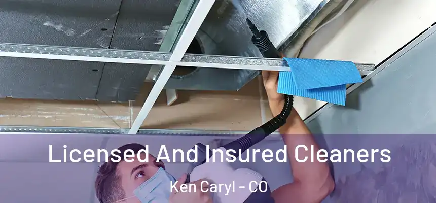 Licensed And Insured Cleaners Ken Caryl - CO