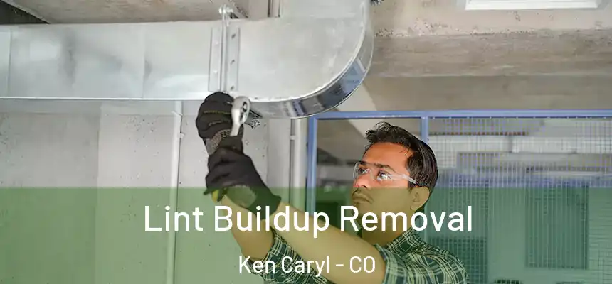  Lint Buildup Removal Ken Caryl - CO