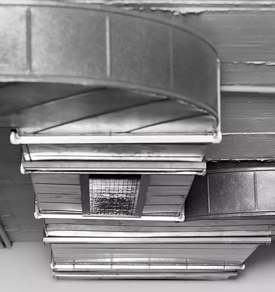 Professional Air Duct Pest Removal in Ken Caryl, CO