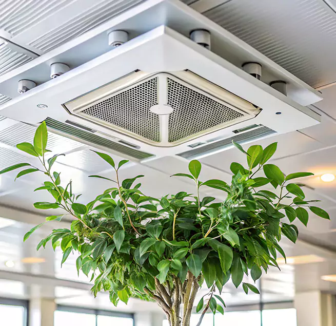 Why Homeowners & Businesses Trust Us in Ken Caryl, CO?