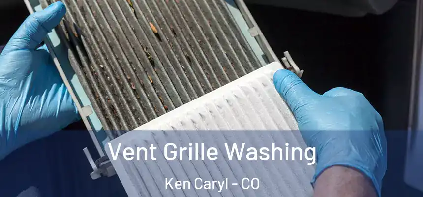  Vent Grille Washing Ken Caryl - CO